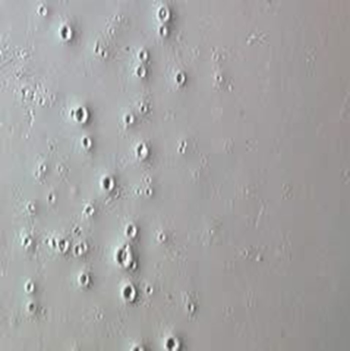 Fischaugen